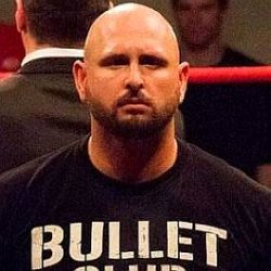 Karl Anderson age