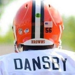 Karlos Dansby age