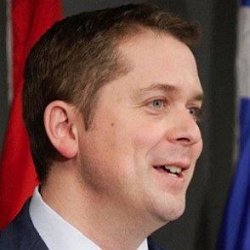 Andrew Scheer age