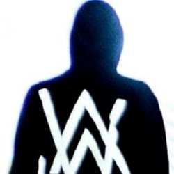 Alan Walker age